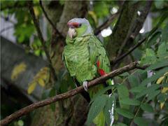 101PARC AUX OISEAUX DANS L AIN 2016 3_000016